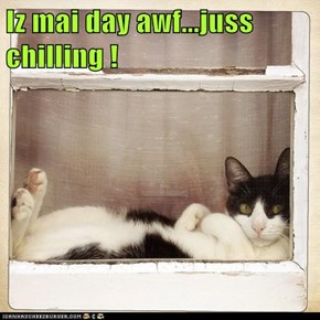 Iz mai day awf...juss chilling !