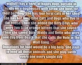 wally01 has a herd  of happy dogs outside in really nice doghouses with straw she buys for their bedding, She has four feral cats in her shed. She has her long-time cats and dogs who live in the house. Then she added the Bitty Boys, who were two little or