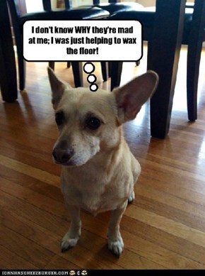 I don't know WHY they're mad at me; I was just helping to wax the floor!