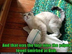 And that was the last time the paper towel smirked at Bob.