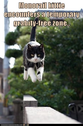 Monorail kittie encounters a temporary grabity-free zone..