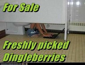 For Sale  Freshly picked Dingleberries