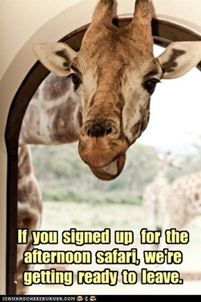 If  you  signed  up   for  the  afternoon  safari,  we're getting  ready  to  leave.