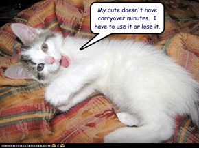 My cute doesn't have carryover minutes.  I have to use it or lose it.