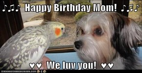 ♪♫♪  Happy Birthday Mom!  ♪♫♪  ♥♥  We luv you!  ♥♥
