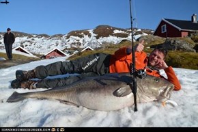 German catches Record 103lb Norwegian Cod
