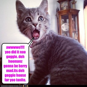 awwwwe!!!! yoo did it nao goggie. deh hoomanz gonna be berry mad.its deh goggie house fur yoo tonite.