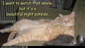 I want to watch that movie, but it's a  beautiful night outside.
