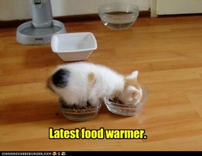 Latest food warmer.