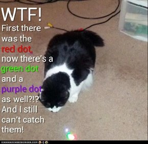 oh no! more dots?!?