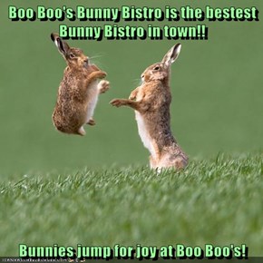 Boo Boo's Bunny Bistro is the bestest Bunny Bistro in town!!  Bunnies jump for joy at Boo Boo's!
