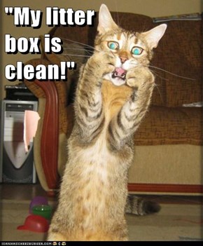 "My litter                                                      box is                                                       clean!"
