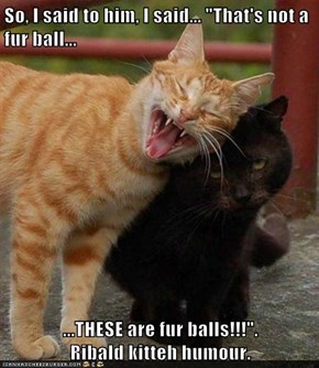 So, I said to him, I said... "That's not a fur ball...  ...THESE are fur balls!!!".                     Ribald kitteh humour.