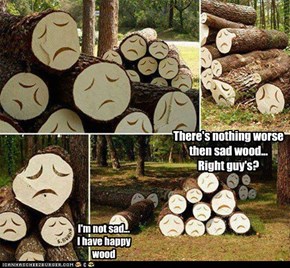 There's nothing worse then sad wood... Right guy's?