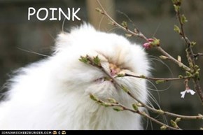 Too erly to sniffs