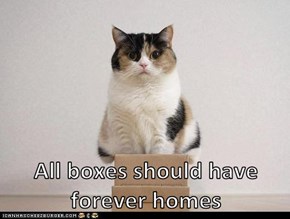 All boxes should have forever homes