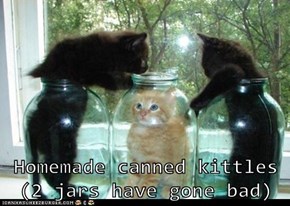 Homemade canned kittles (2 jars have gone bad)