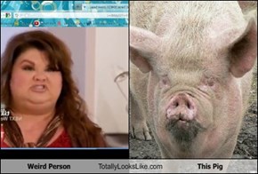 Weird Person Totally Looks Like This Pig