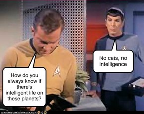 How do you always know if there's intelligent life on these planets?