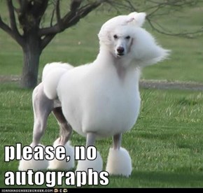 please, no autographs