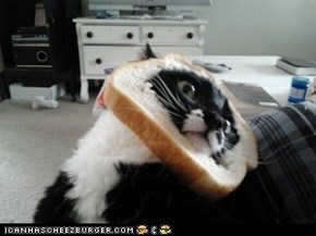 Aw maahhm wearin bread went outta fashun 5 years ago. If u dusnt take it off I will an it won't be purty.