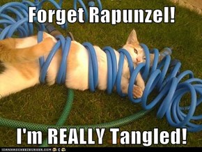 Forget Rapunzel!  I'm REALLY Tangled!