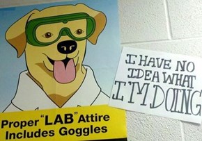 How Me a Lab Learn Lab Safety?