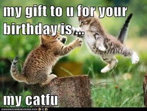 my gift to u for your birthday is ...  my catfu