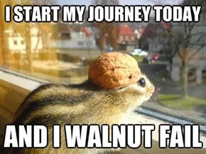The Saga of the Walnut Chipmunk