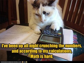 I've been up all night crunching the numbers,