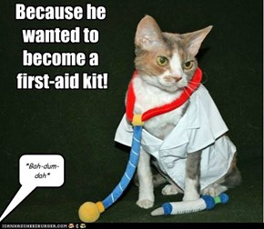Why did the cat go to medical school?
