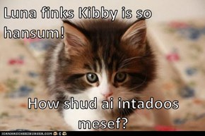 Luna finks Kibby is so hansum!   How shud ai intadoos mesef?