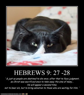 HEBREWS 9: 27 -28