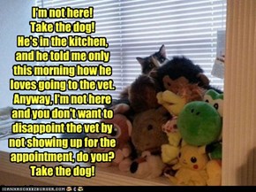 I'm not here! Take the dog! He's in the kitchen,  and he told me only this morning how he loves going to the vet. Anyway, I'm not here and you don't want to disappoint the vet by not showing up for the appointment, do you? Take the dog!