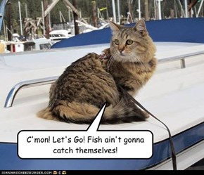 C'mon! Let's Go! Fish ain't gonna catch themselves!