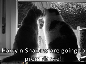 Harry n Shadow are going to prom danse!