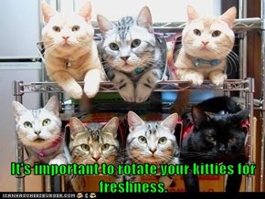 It's important to rotate your kitties for freshness.
