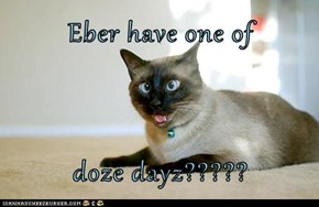 Eber have one of  doze dayz?????