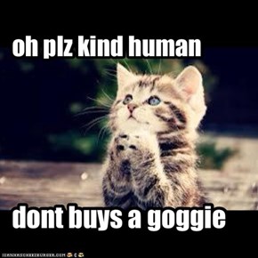 oh plz kind human