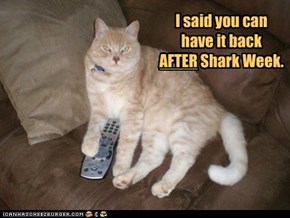 I said you can have it back  AFTER Shark Week.