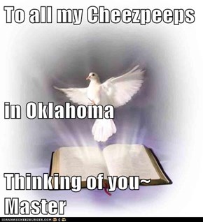 To all my Cheezpeeps in Oklahoma Thinking of you~ Master
