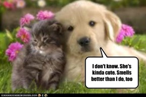 I don't know. She's kinda cute. Smells better than I do, too