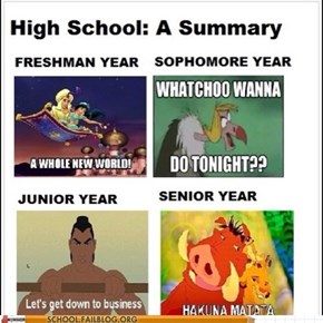 A Disney Summary