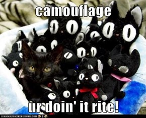 camouflage  ur doin' it rite!