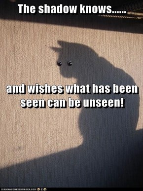 The shadow knows...... and wishes what has been seen can be unseen!
