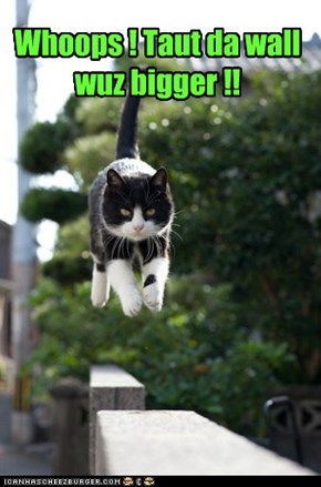 Whoops ! Taut da wall wuz bigger !!