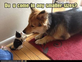 Du   u  come  in  any  smaller  sizes?