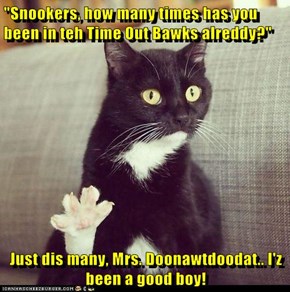"Snookers, how many times has you been in teh Time Out Bawks alreddy?"  Just dis many, Mrs. Doonawtdoodat.. I'z been a good boy!