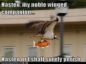 Hasten, my noble winged companion...  Hasten or I shall surely perish