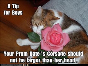 Prom Night Tip!